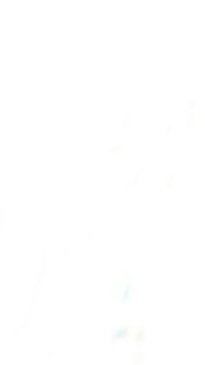 About Image